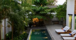 Luxury villa in Rego Park